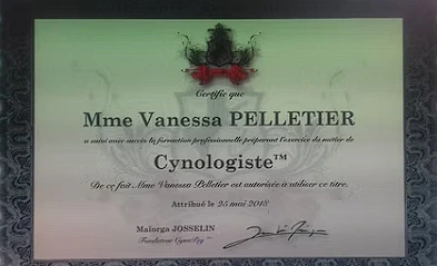 Badge Cynologiste