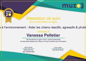 Badge Aider les chiens réactifs, agressifs et phobiques