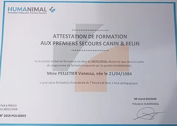 Badge Premiers Secours Canin