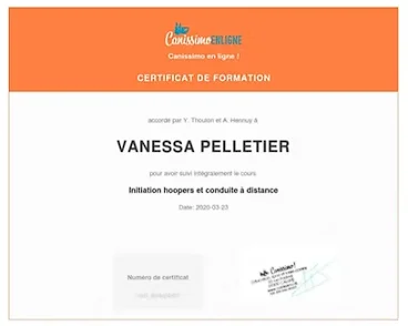 Badge Initiation Hoopers et conduite à distance