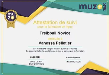 Badge Treibball Novice