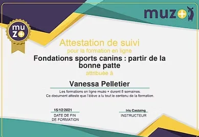 Badge Fondations Sports Canins