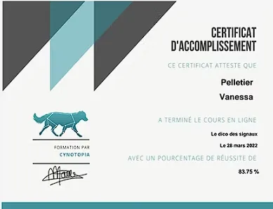 Badge Dico des signaux