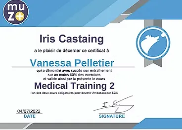 Badge Medical Training 2