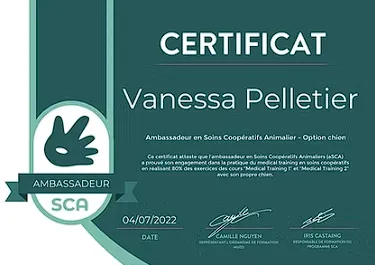 Badge Soins Coopératifs Animalier