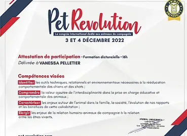 Badge Rééducation Comportementale