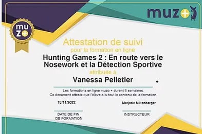 Badge Hunting Games 2