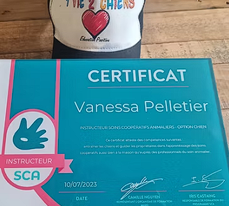 Badge Instructeur soins coopératif Animalier