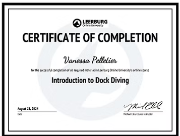 Badge Introduction Dog Diving