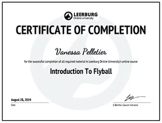 Badge Introduction Flyball