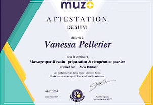 Badge Massage Sportif Canin