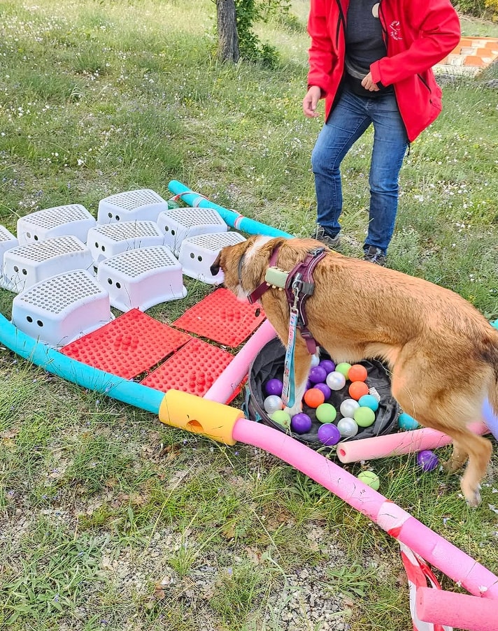 Atelier Confiance en Soi