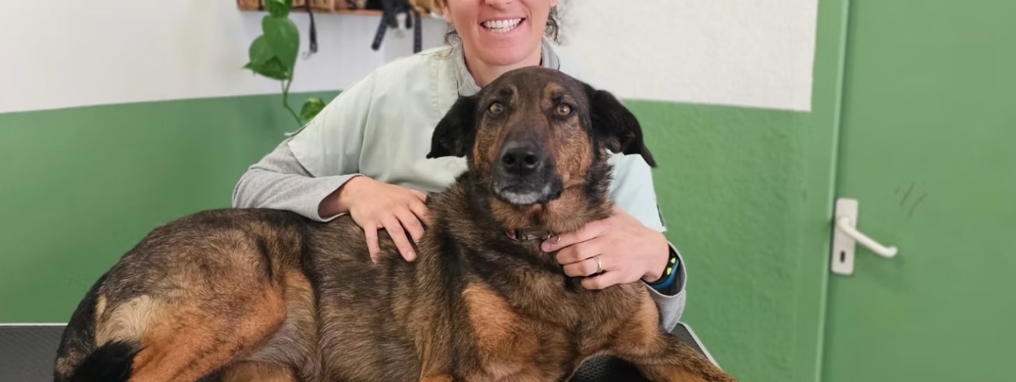 Coaching Visio 6 semaines : Fondations Soins Coopératifs