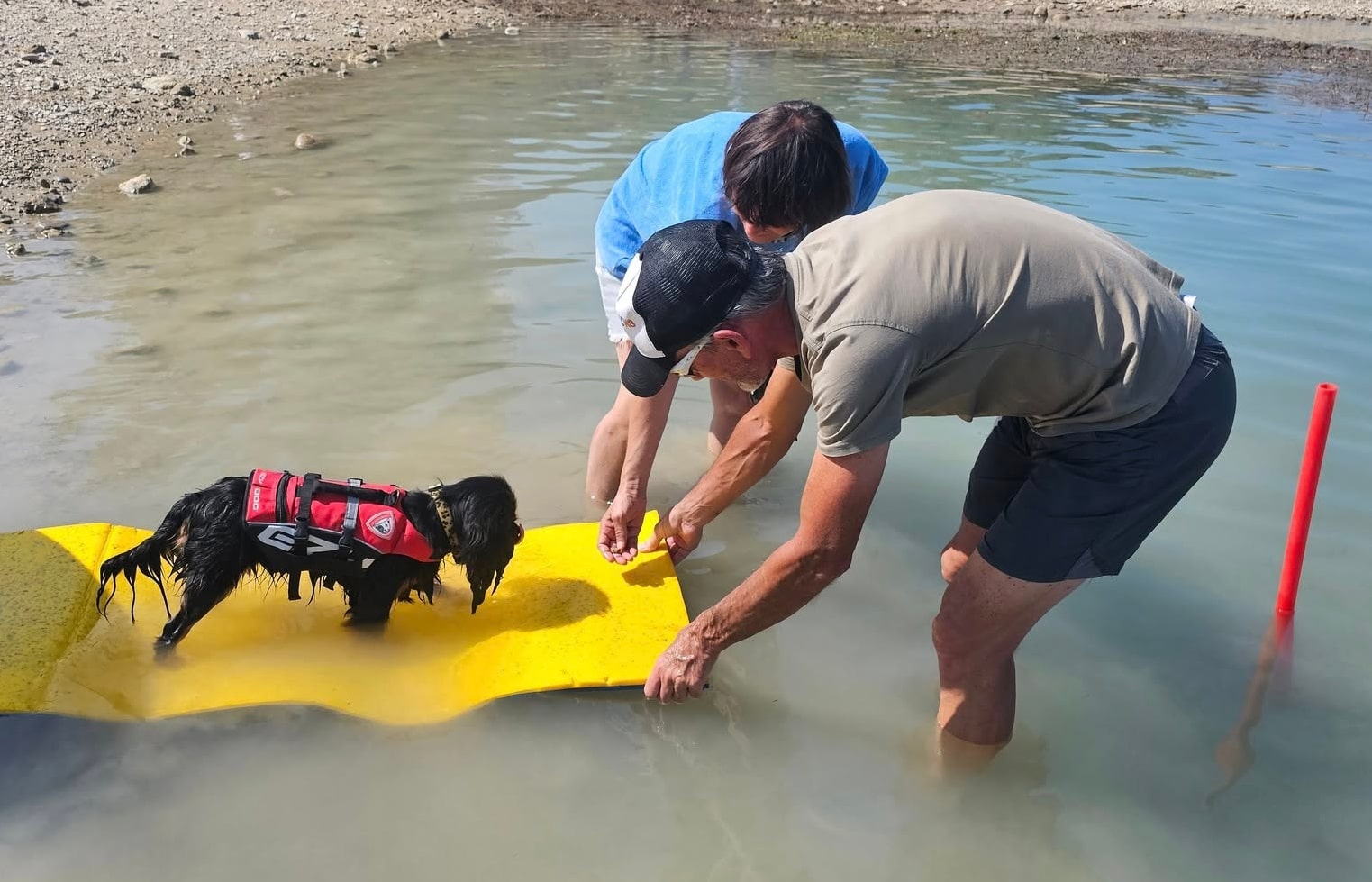 Désensibilisation à la nage