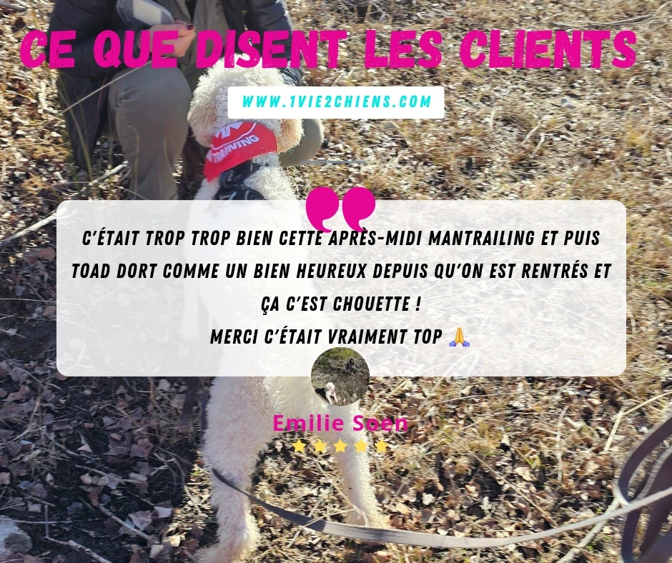 Avis d'une cliente sur le Mantrailing