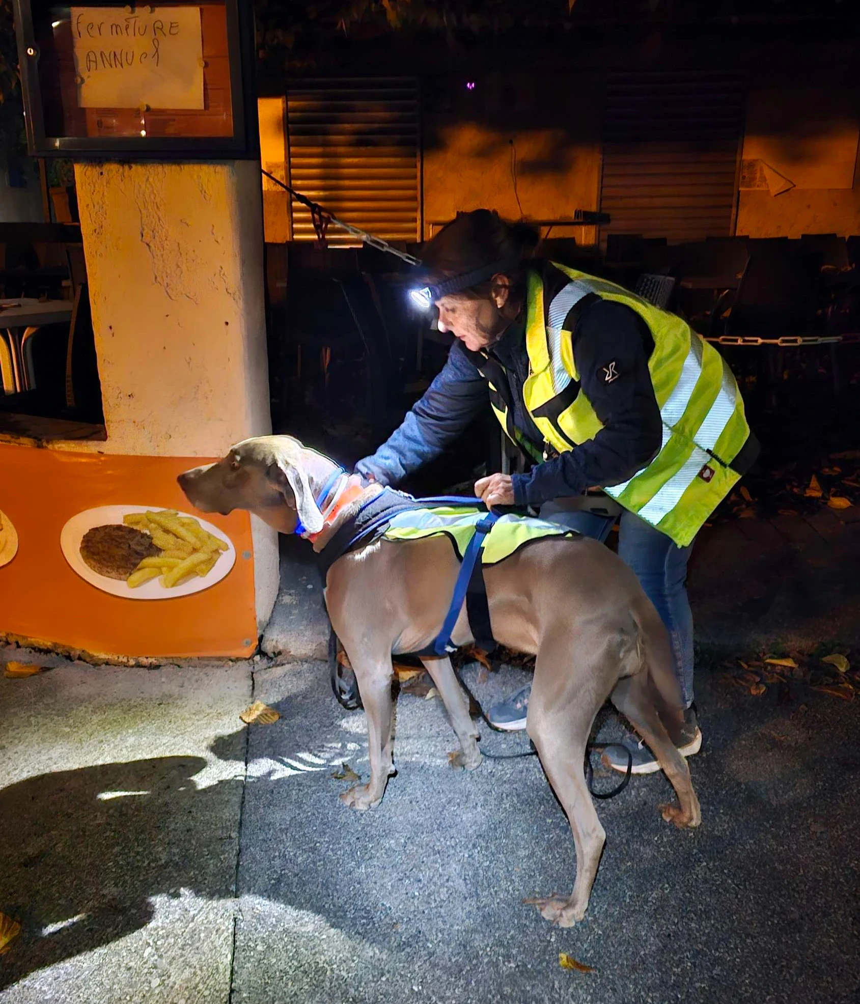 Une élève et son chien qui sent une odeur