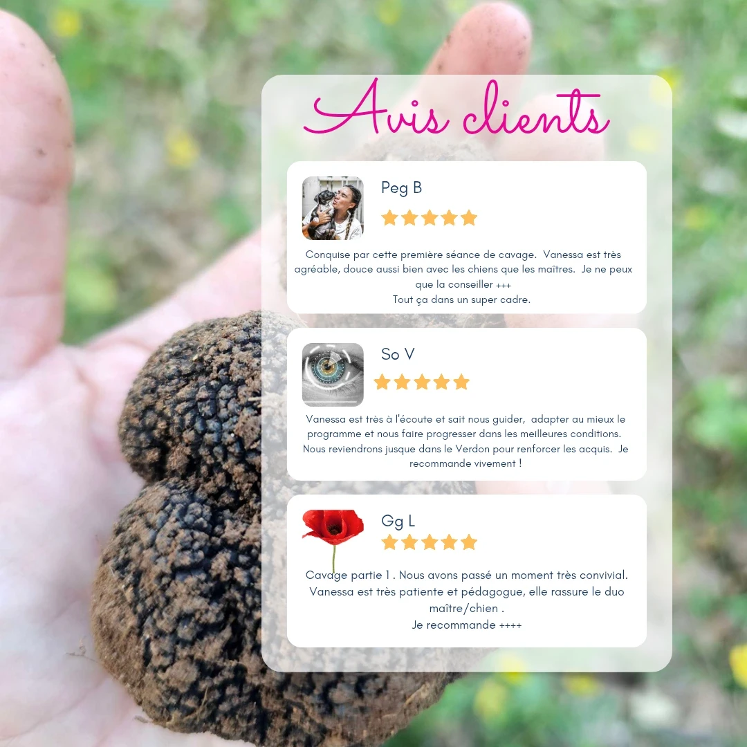 Avis de clients sur la formation Cavage