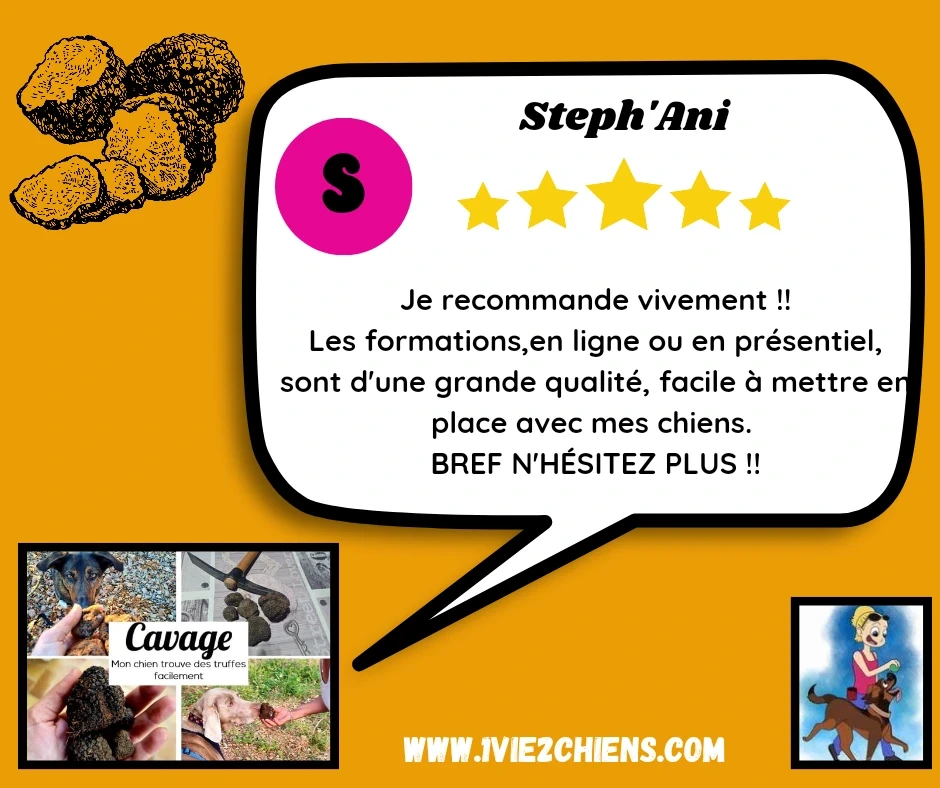 Un avis en particulier