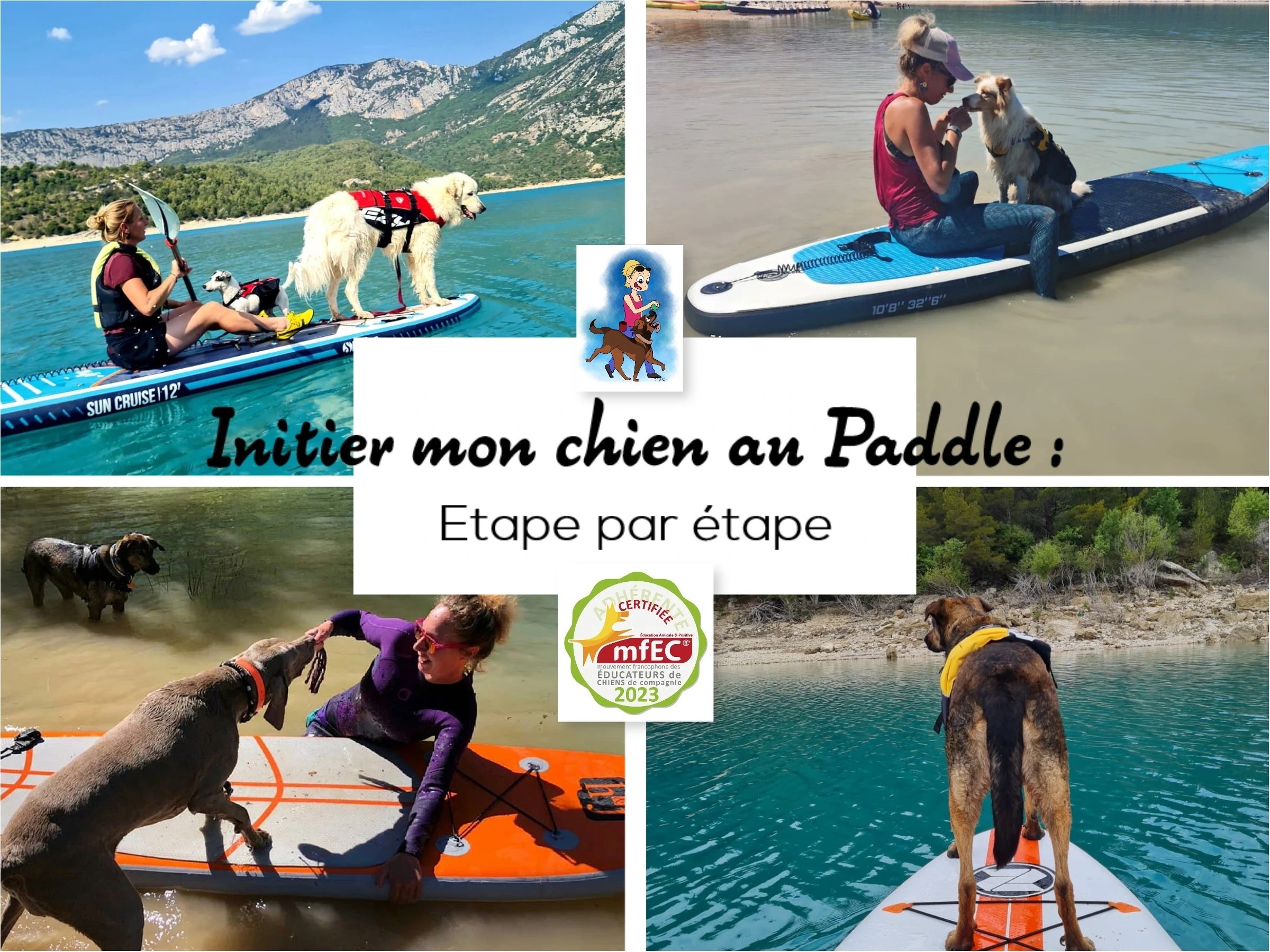 Affiche de la formation Paddle d'1vie2chiens