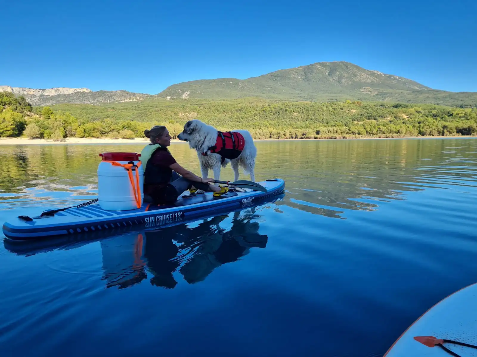 Faire du paddle avec son chien : une activité amusante et bénéfique pour votre relation!