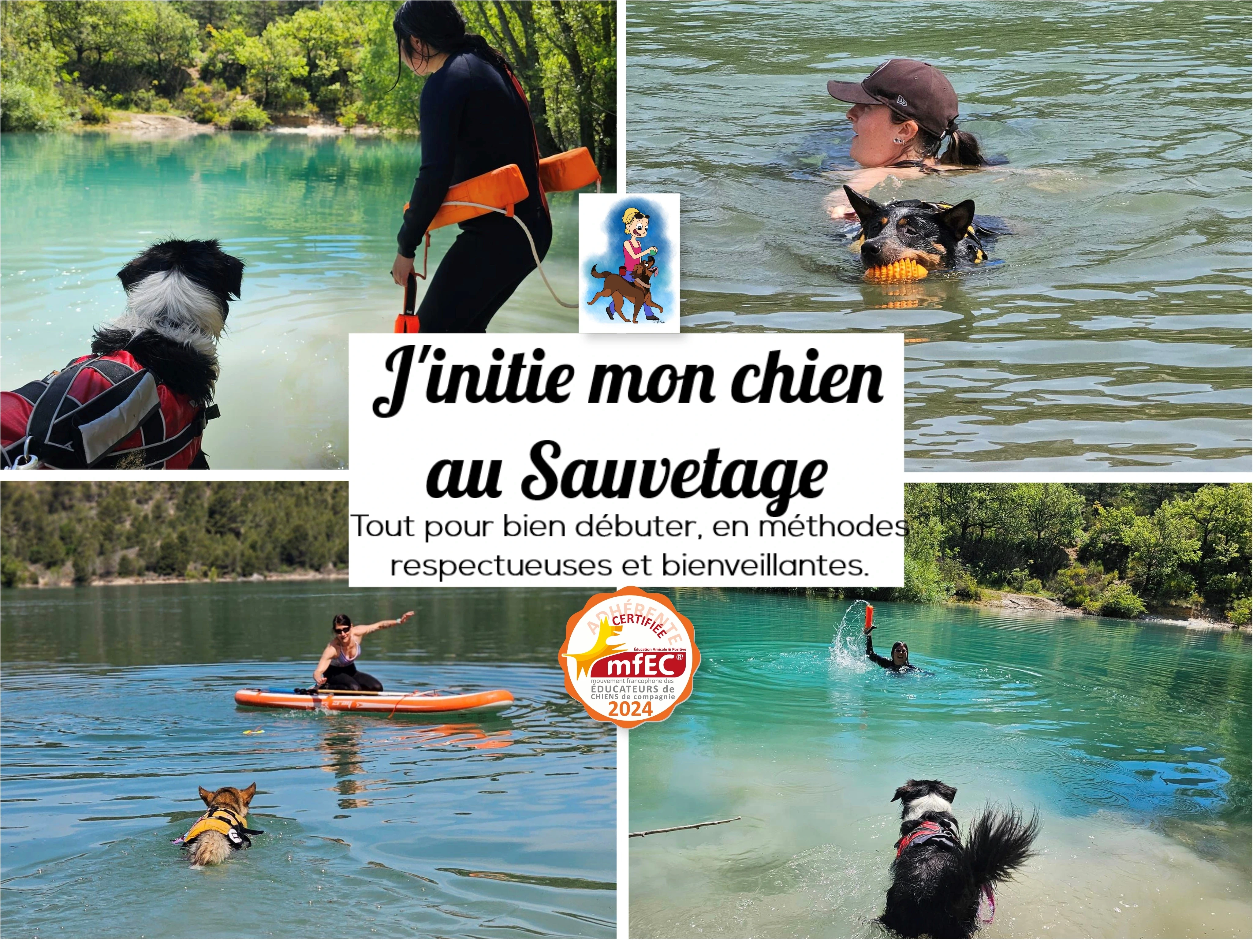 Affiche de la formation Sauvetage d'1vie2chiens
