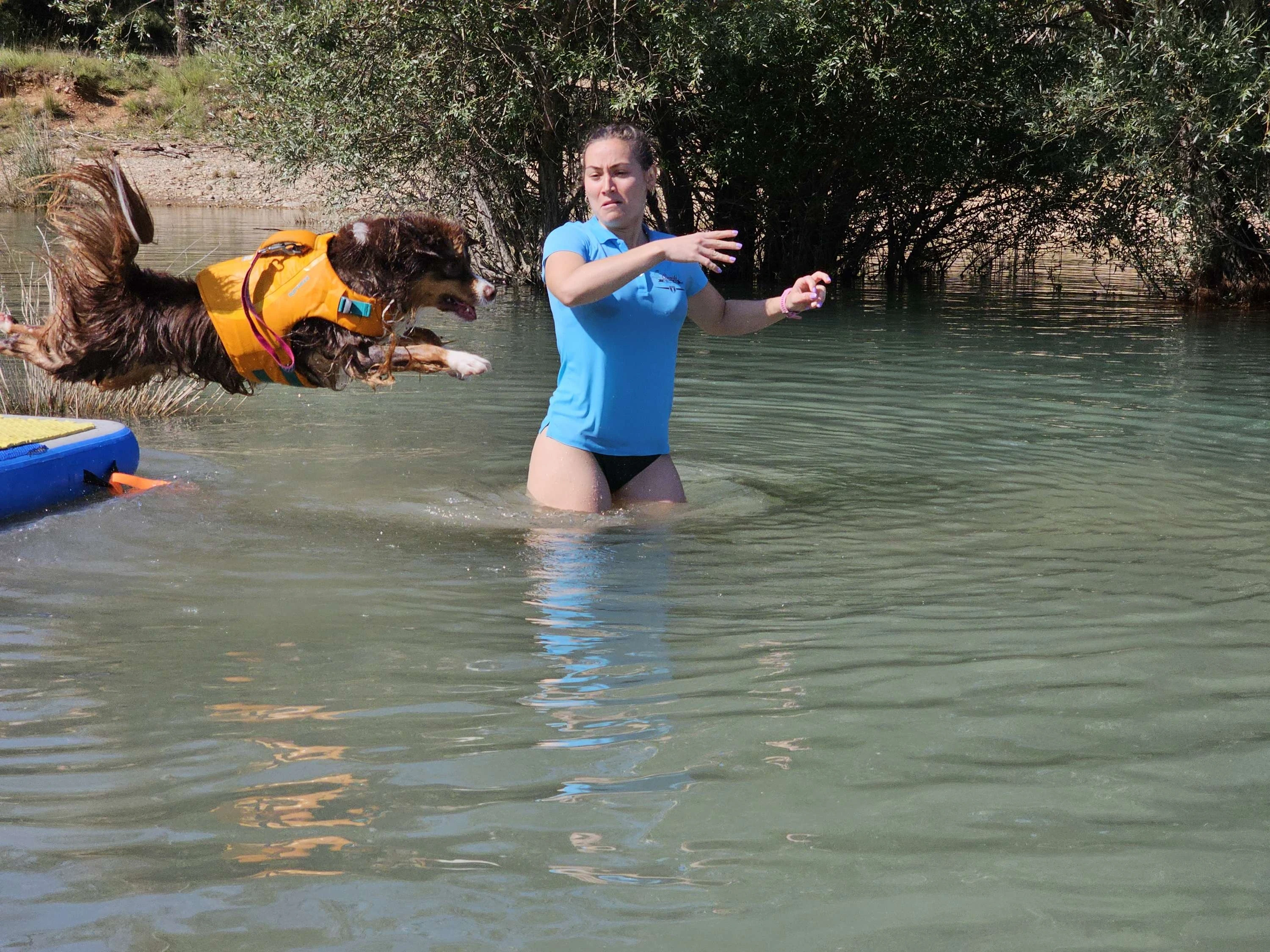 Une élève de Vanessa fait sauter son chien dans l'eau