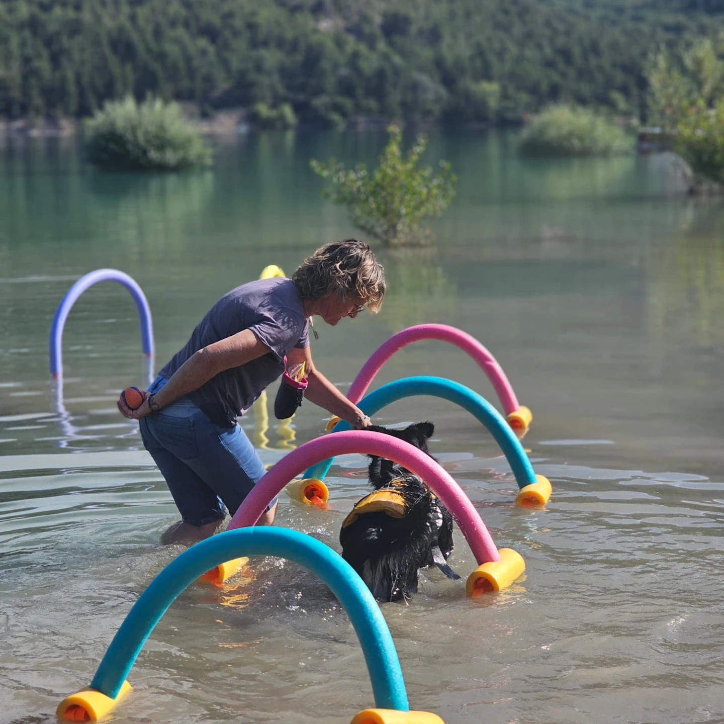 Une élève de Vanessa fait passer son chien sous des arceaux dans l'eau