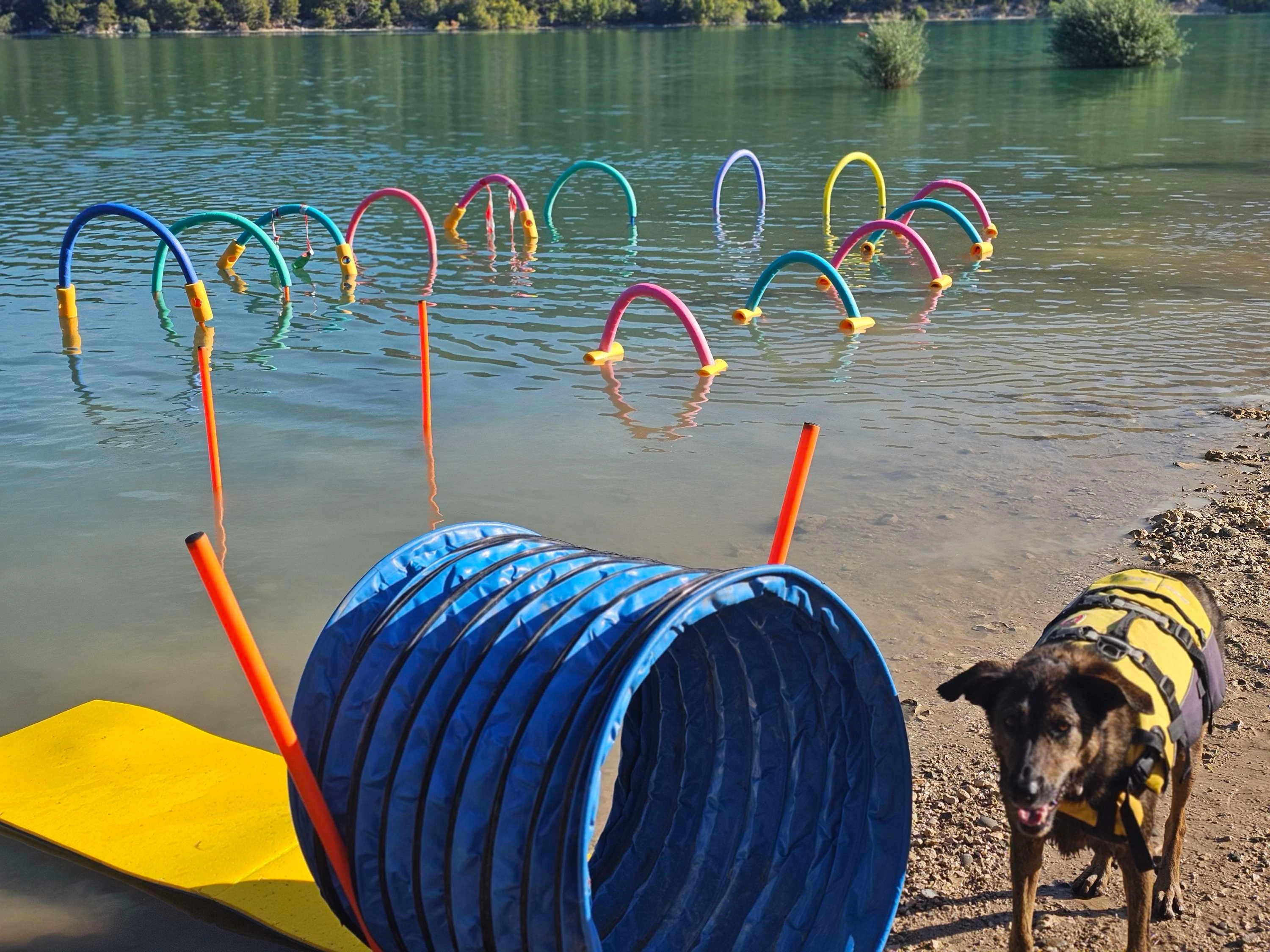 Sia au bord du lac avec un "tunnel" bleu à côté d'elle
