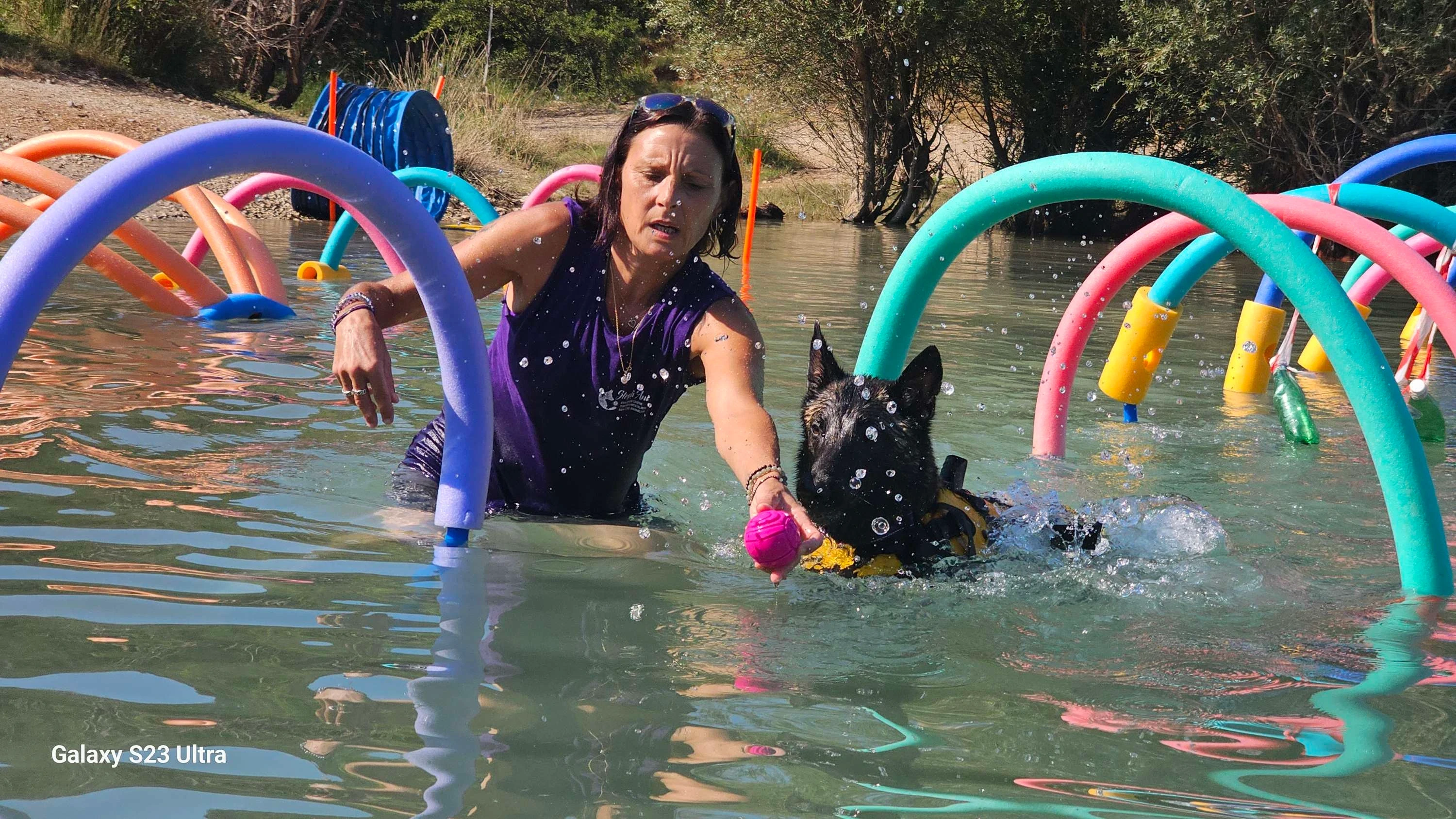 Une élève de Vanessa guide son chien à travers les anneaux dans l'eau
