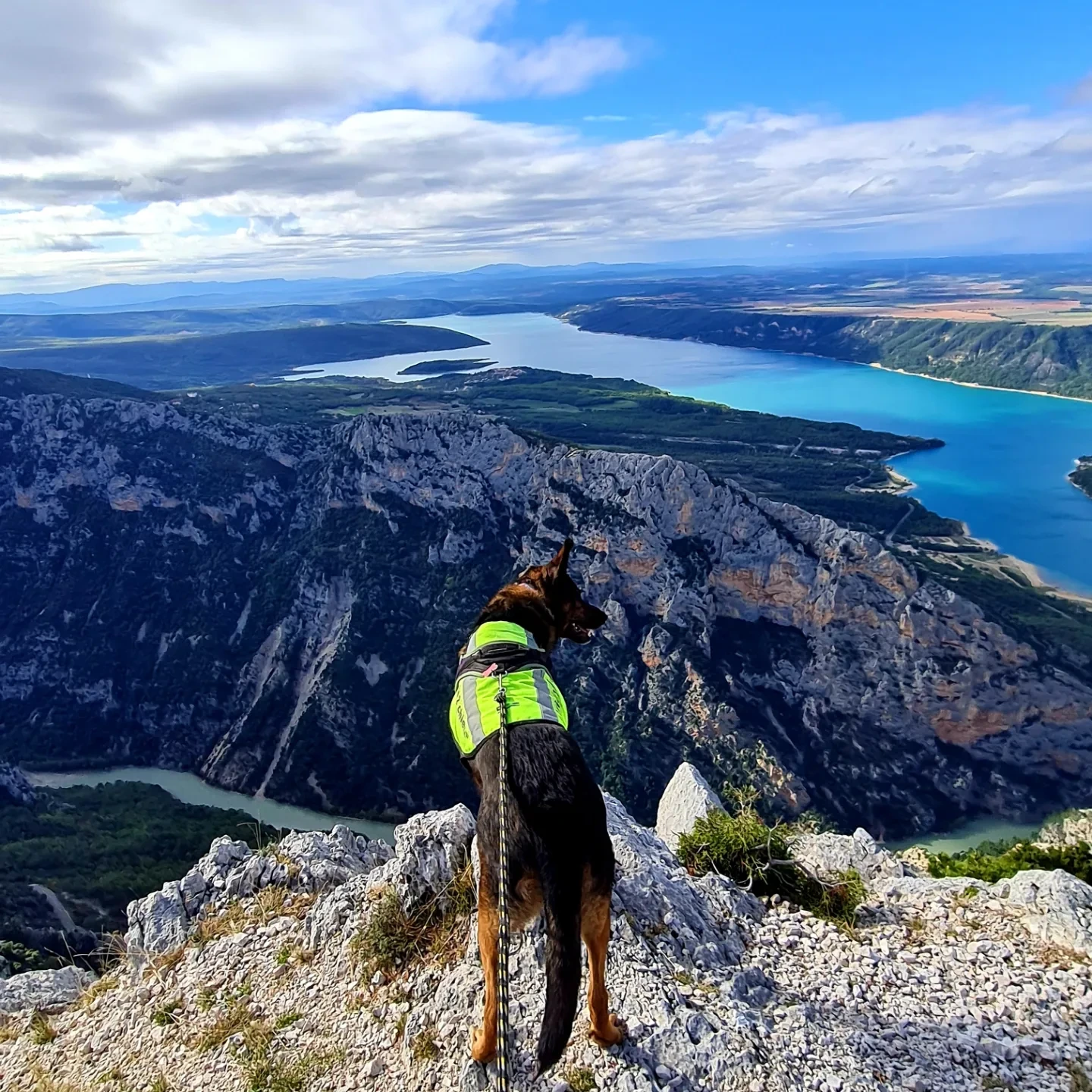 Top 5 des activités à faire avec son chien dans les Gorges du Verdon !