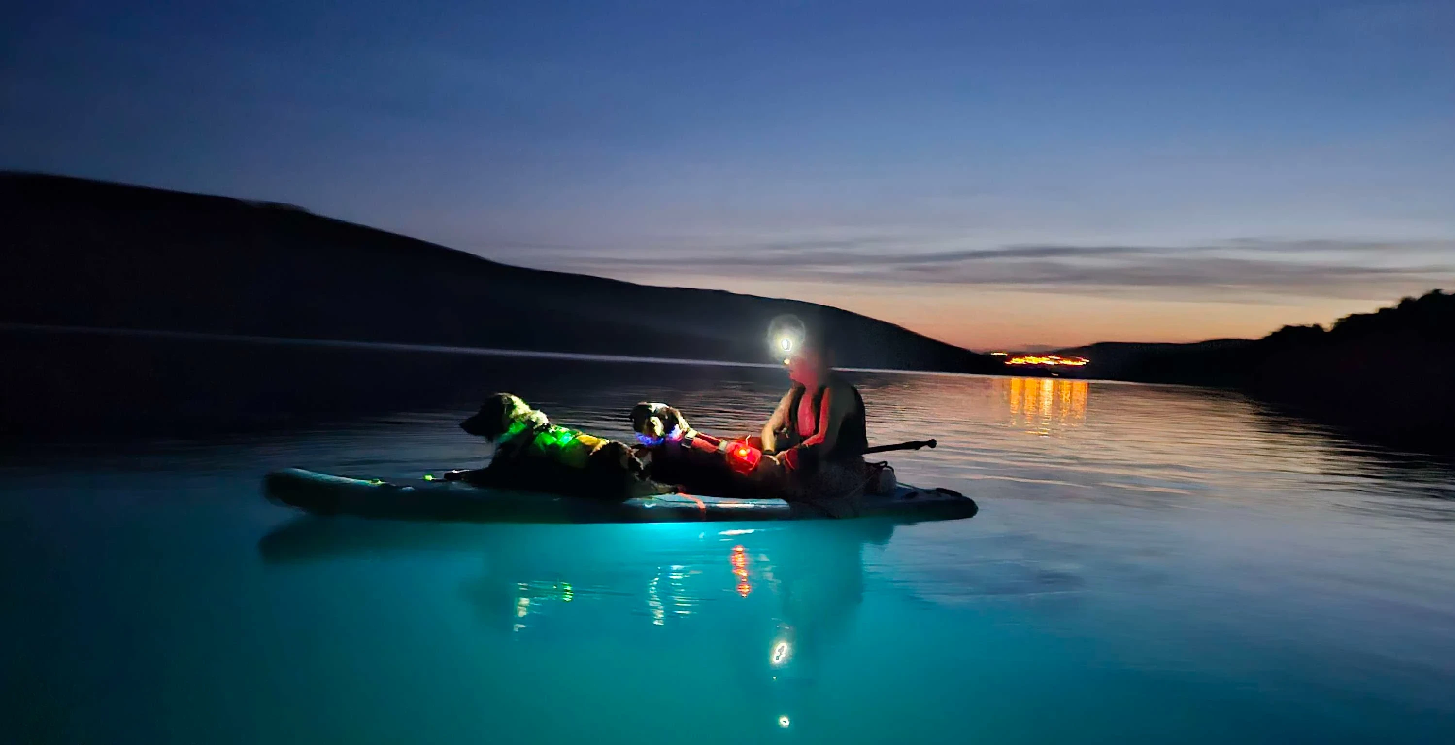 Une personne avec deux chiens sur un paddle au milieu du lac