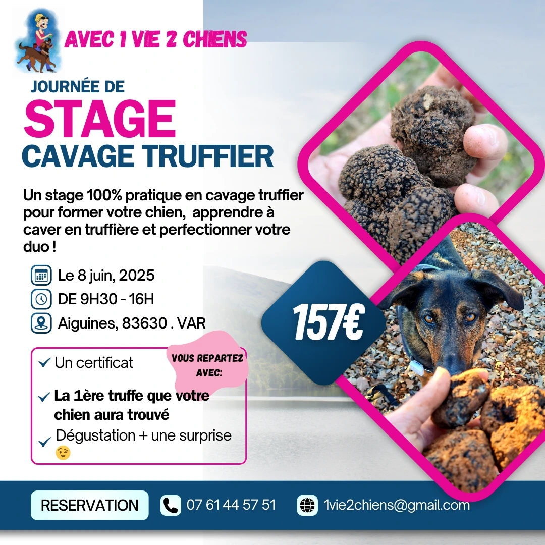 Affiche formation Cavage d'1vie2chiens