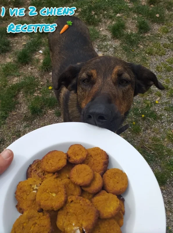 Sia devant une assiette de "cookies"