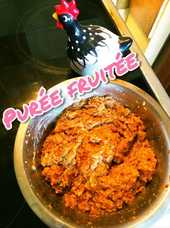 Purée Fruité pour vos Kongs et lickimat