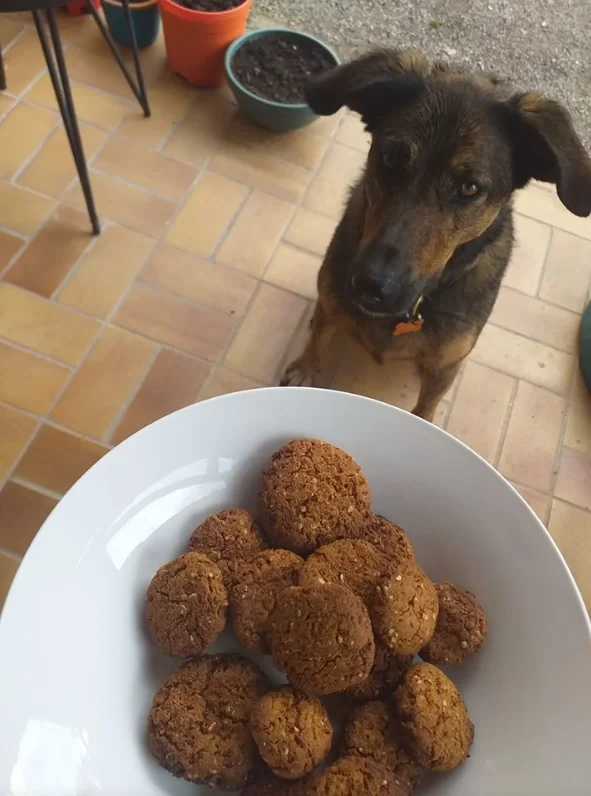 Sia devant une assiette de "cookies"