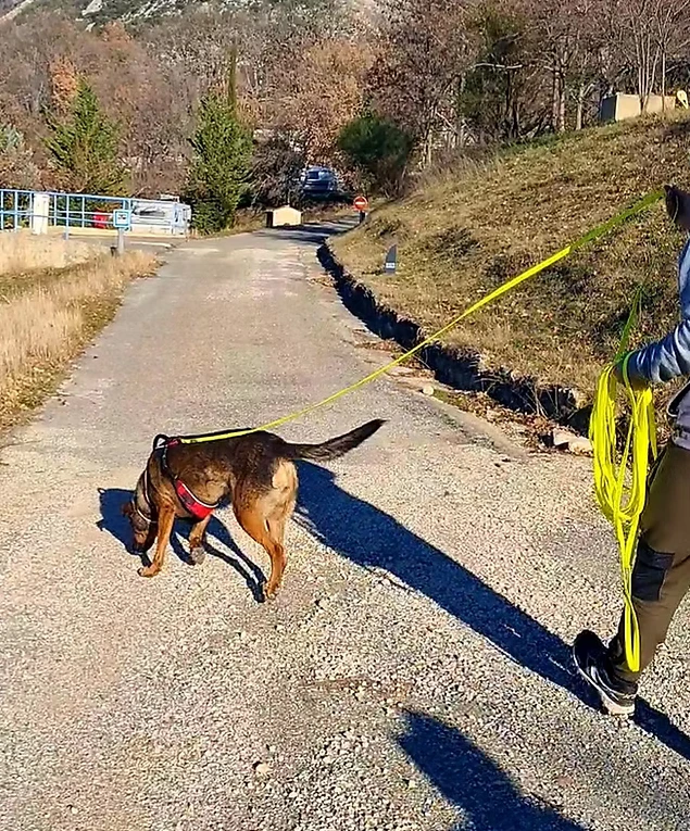 Activité Mantrailing - Recherche de personnes disparues