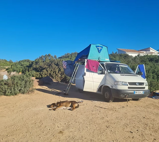 Partir en Road Trip avec son chien.  Quelles sont les Astuces et erreurs à éviter ?