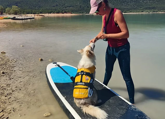 L'éducation Positive vs l'éducation traditionnelle