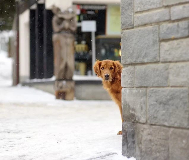 Le syndrome de privation sensorielle