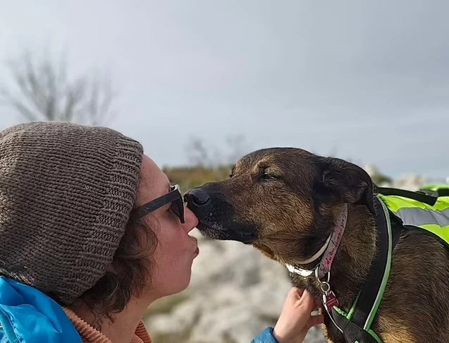 Les bienfaits pour l'humain, de partager sa vie avec un chien