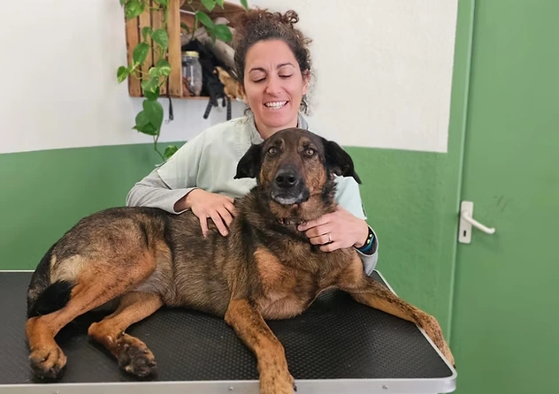 L'ostéopathie canine